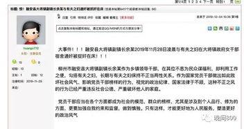 红豆网爆料新闻平台,揭秘娱乐圈最新热点事件
